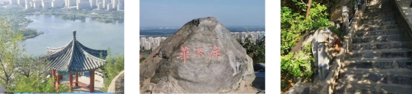 博彩网