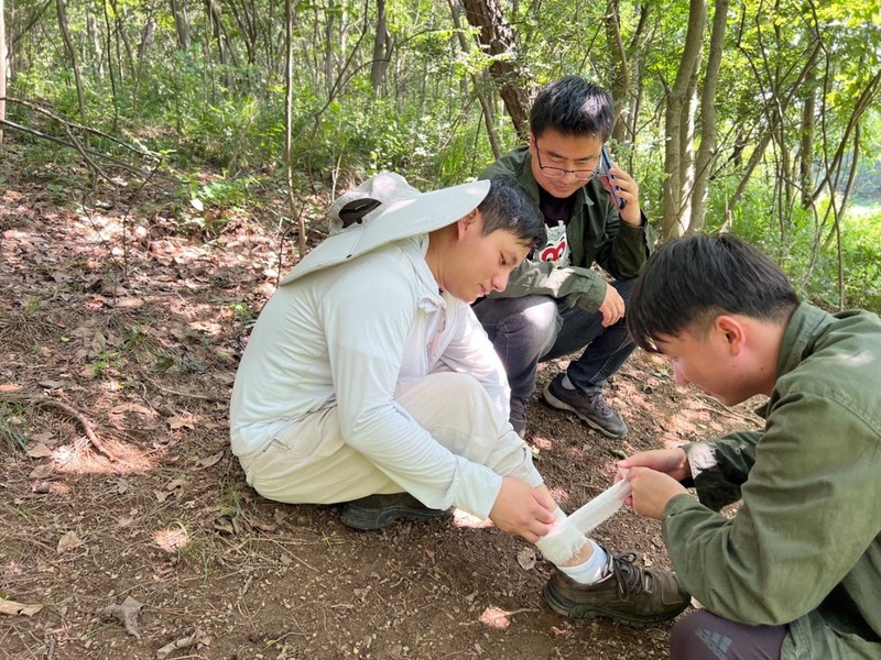 20230628地质勘查所在庐江东顾山地区开展毒蛇咬伤应急演练.jpg